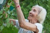 The Art & Science of Successful Aging